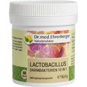 Dr. Ehrenberger Lactobacillus Gut Bacteria 10 in 1 - 60 Capsules