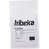 tribeka Organic Rwanda