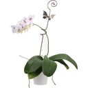 LivingDesign Met de hand gesmede orchideeënstok - 1 stuk