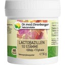 Lactobacillus 10 Stämme, 60 Kapseln