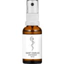 SAINT CHARLES Spray Igienizzante per le Mani - 20 ml
