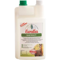 Ewalia Electrolyte - 1 L
