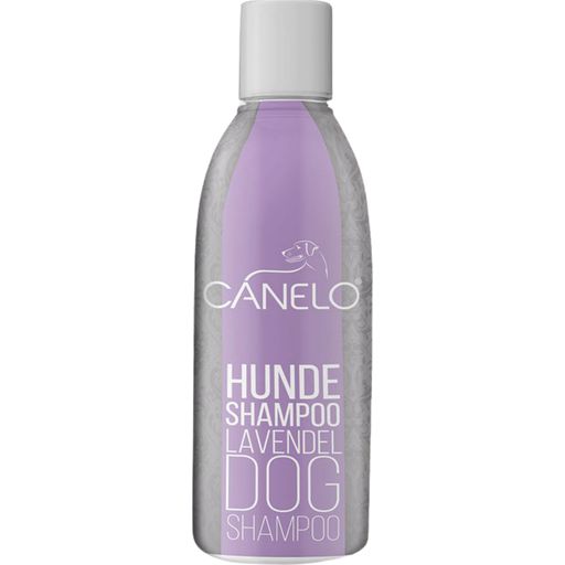 Canelo Lavendel Shampoo