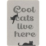 David Fussenegger Pet Blanket "cool cats...", 70 x 90 cm
