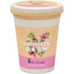 Feel Green ecocup "Orchid Tree"