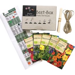 Samen Maier Bio Beet-Box "Blüten aufs Teller!"