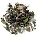 Demmers Teehaus Biologische Fancy White Peony