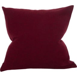 Steiner 1888 Sophia Pillow