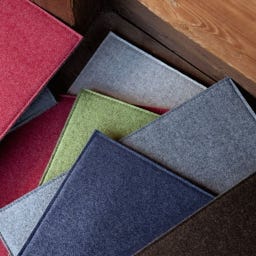 Steiner 1888 Seat Cushion Anton