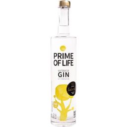 Seppelbauers Obstparadies Prime of Life Gin