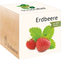 Feel Green ecocube "Erdbeere"