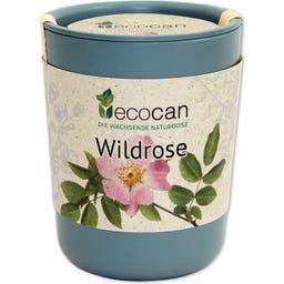 Feel Green ecocan 