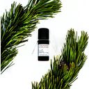 botania Mountain Pine Oil Premium - 10 ml