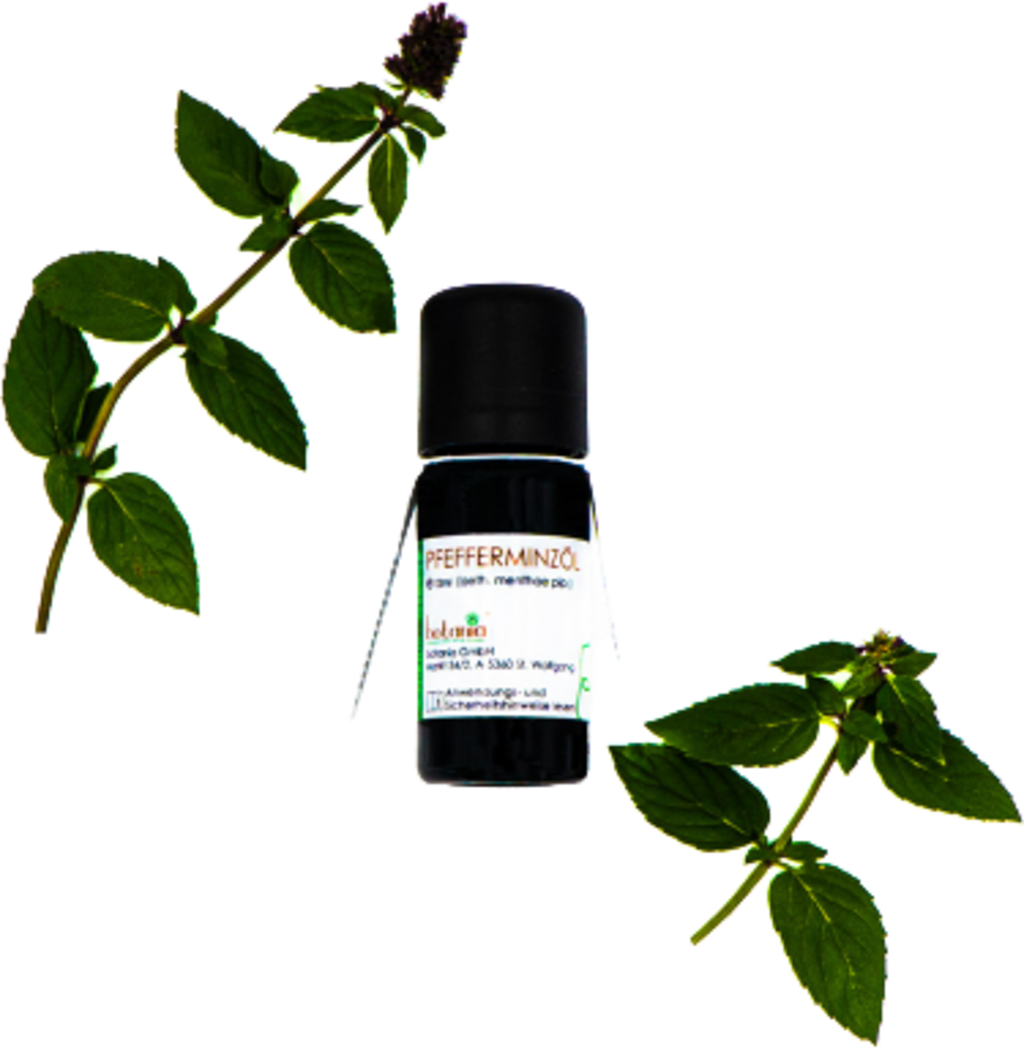botania Pfefferminzöl Premium - 10 ml