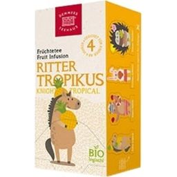 Demmers Teehaus BIO Quick-T KIDS Ritter tropik - 69 g