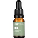 CBD Naturextrakt Premium 5% Bio - 10 ml