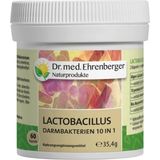 Dr. Ehrenberger Bakterie jelitowe Lactobacillus 10 w 1