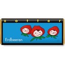 Zotter Schokoladen Organic Strawberries - 70 g