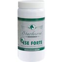 Starhorse LSE Forte