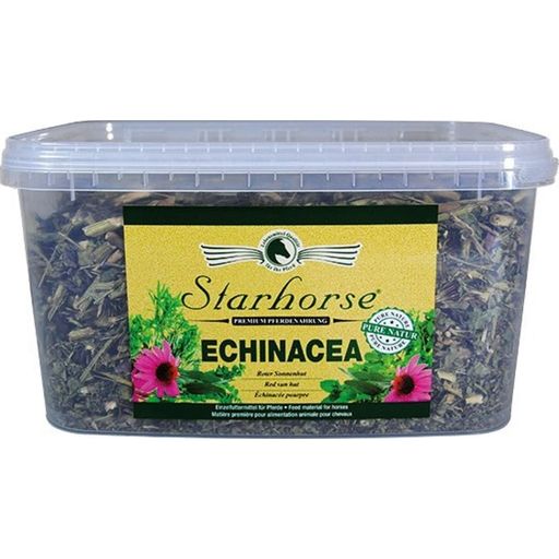 Starhorse Echinacea