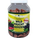 Starhorse Traktaties - Wilde Vruchten Harten