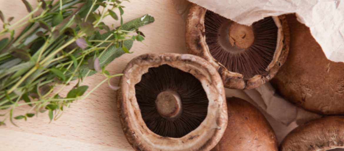 Recettes rapides à base de champignons 