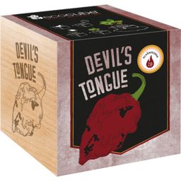 Feel Green ecocube - Devil's Tongue