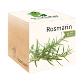Feel Green ecocube "Herbes Aromatiques"