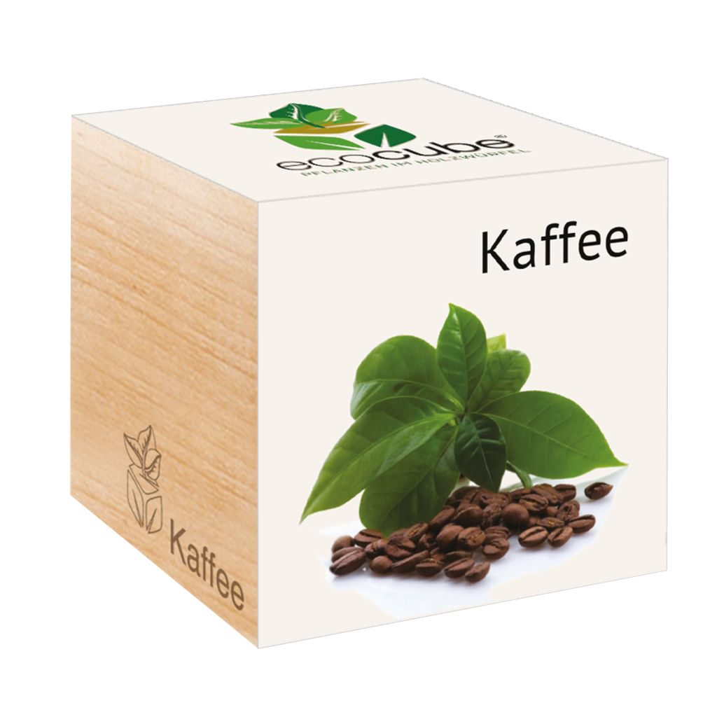 ecocube - Pianta Esotica, caffè