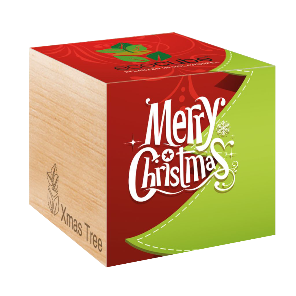 Feel Green ecocube - Albero di Natale