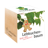 Feel Green ecocube "Lebkuchenbaum"