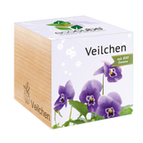 Feel Green ecocube "Veilchen"