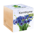 ecocube 