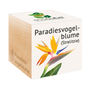 ecocube 