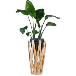 Snorre Kwietnik - stojak na rośliny S (60 cm) - naturalny