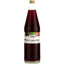 Obsthof Haas Organic Apple Elderberry Juice