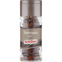 KOTÁNYI Zvezdasti janež, cel