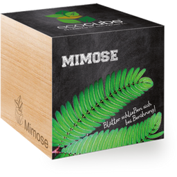 Feel Green ecocube - Mimosa