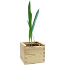 Feel Green ecobix Palm Speciaal - 1 stuk