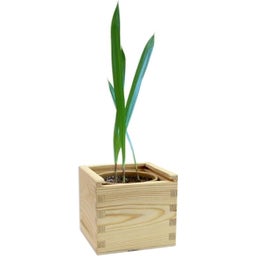 Feel Green ecobix Palm Speciaal - 1 stuk