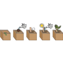 Feel Green ecobix Palm Speciaal - 1 stuk