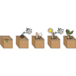 Feel Green ecobix Palm Speciaal - 1 stuk