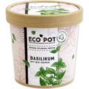 Feel Green ecopot Basilicum - 1 stuk