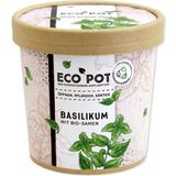 Feel Green ecopot Basilicum