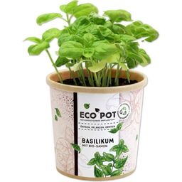 Feel Green ecopot Basilicum - 1 stuk