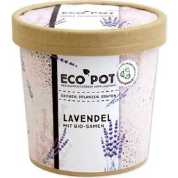 Feel Green ecopot Lavendel - 1 stuk