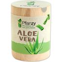 Feel Green Pflanzy - Aloe Vera - 1 pz.