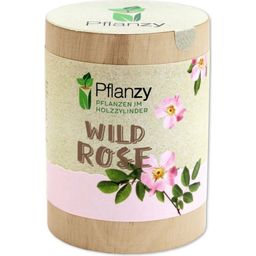 Feel Green "Wild Rose" Pflanzy