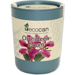 Feel Green Ecocan "Orchid Tree"