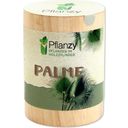 Feel Green Pflanzy Palm - 1 stuk